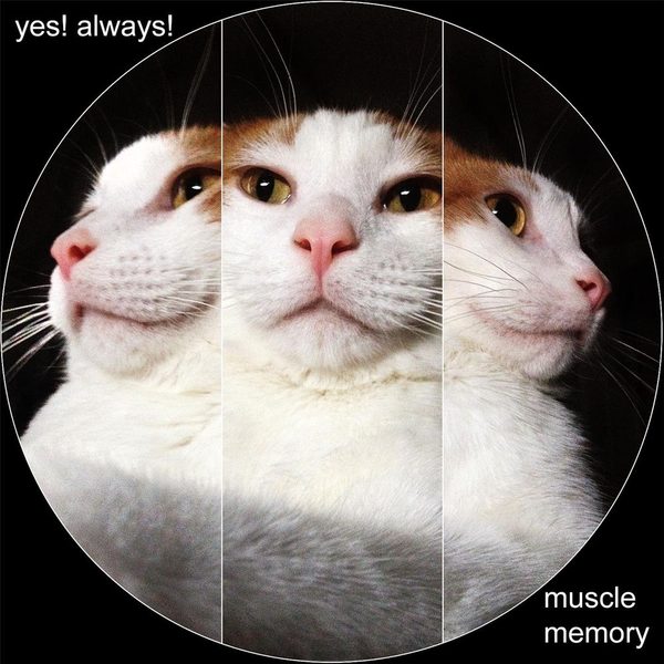 Muscle Memory