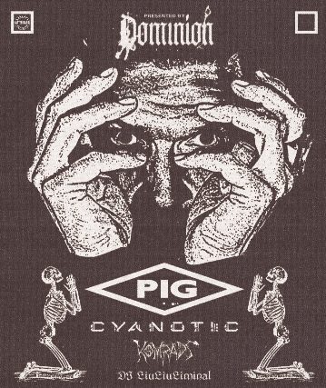 Pig