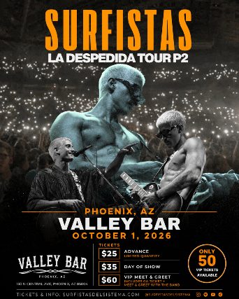 Surfistas Del Sistema