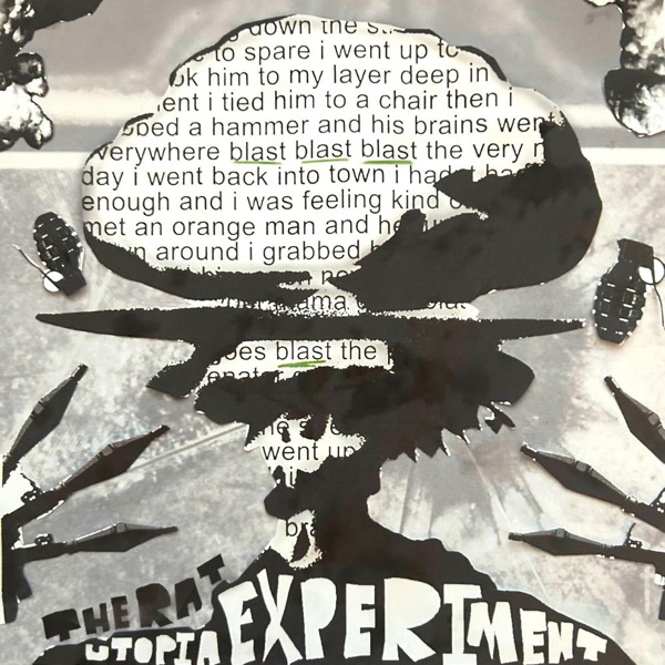 The Rat Utopia Experiment